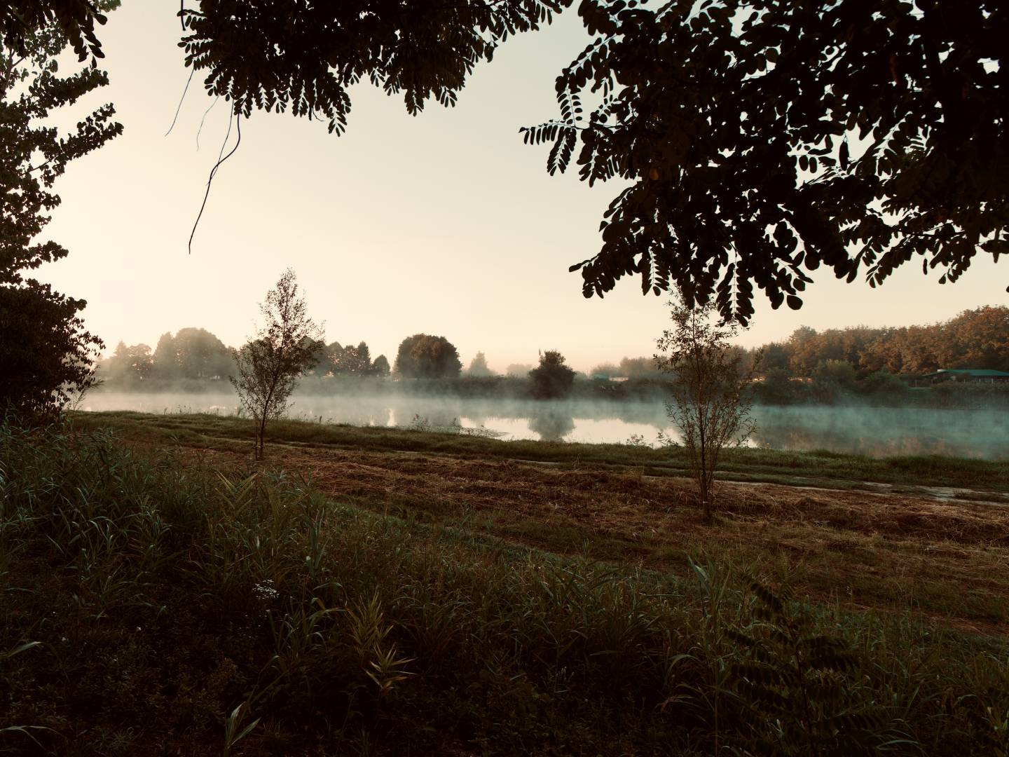 "Stara" Drava, Donji Miholjac
